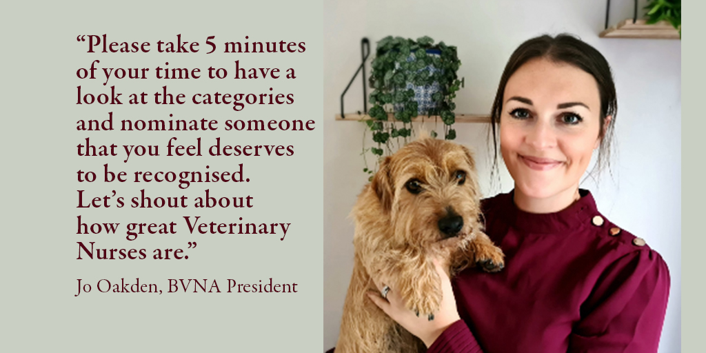 Nominations open for BVNA Awards 2021